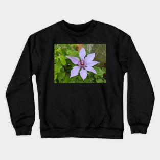 Lavender Flower 3 Crewneck Sweatshirt